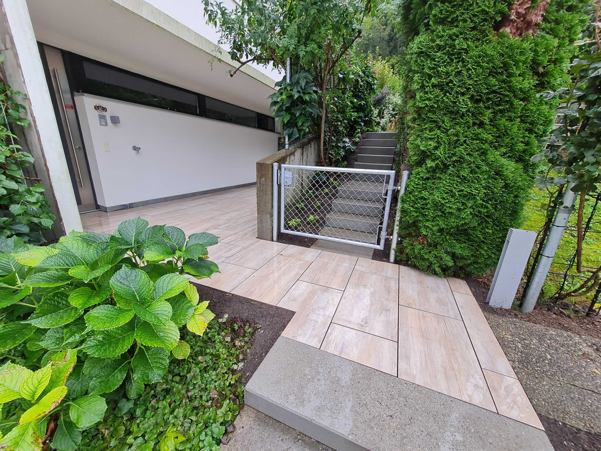 Bilder BRÜHWILER-GARTENBAU, BAUMPFLEGE