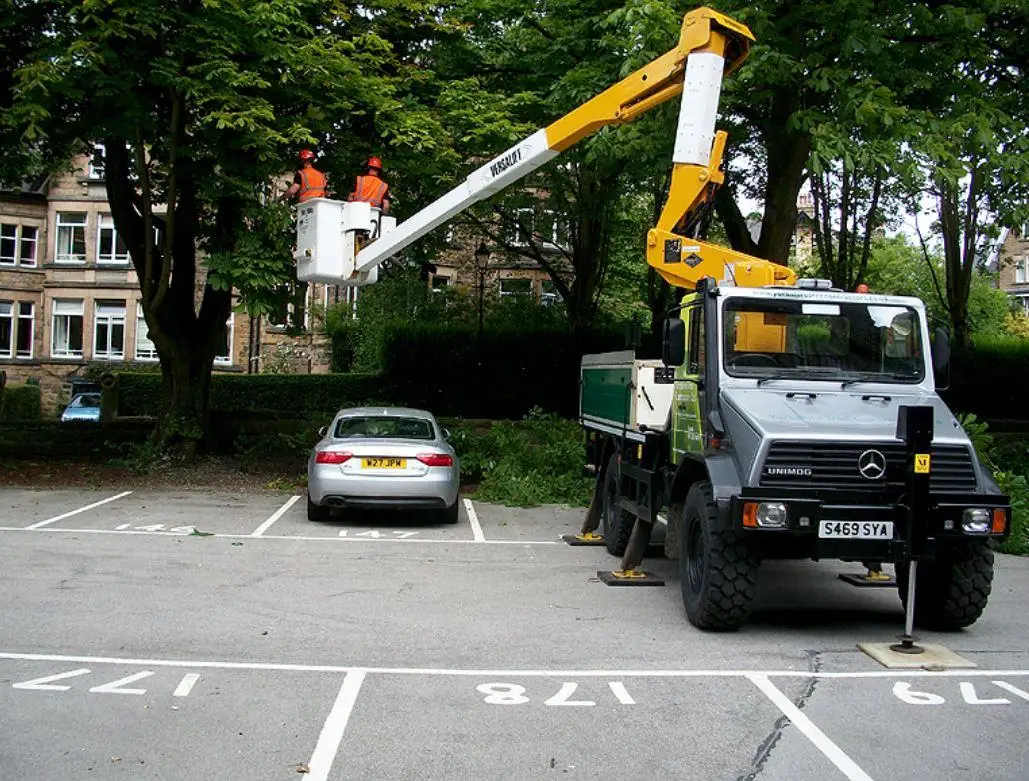 Images Yorkshire Tree Contractors