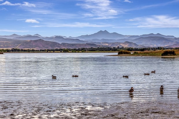 Images Arrive Longmont