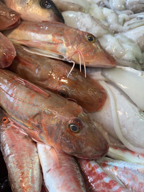 Images Pescheria da Sami