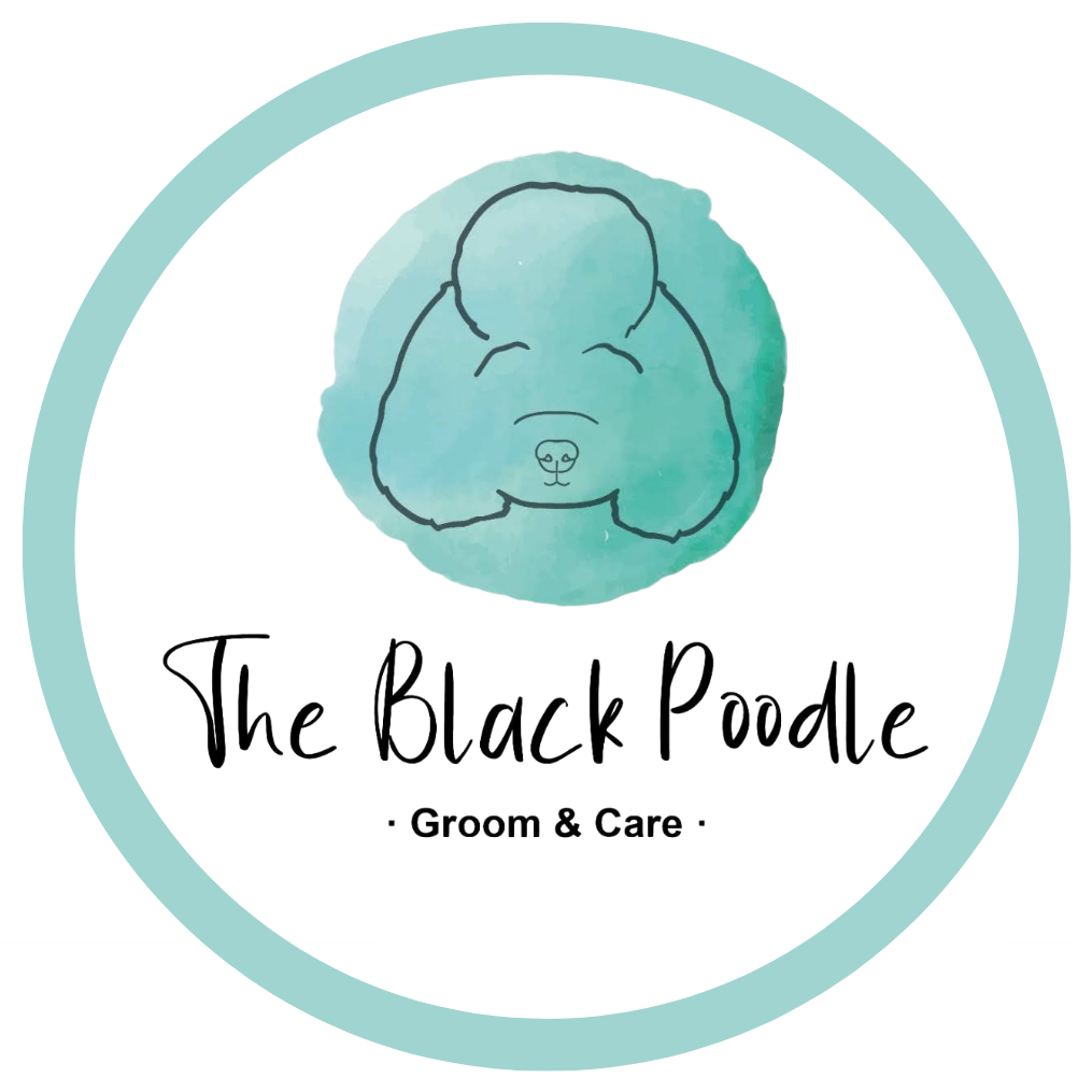 The Black Poodle Grooming & Care Logo