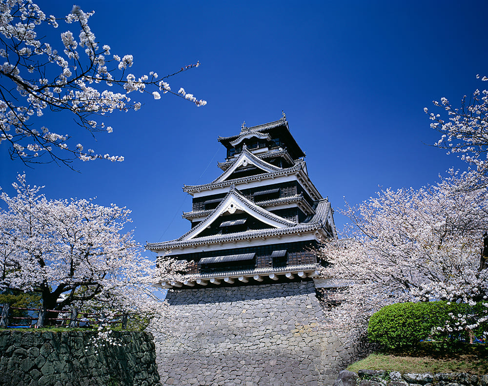 Images Enjoy Kyushu