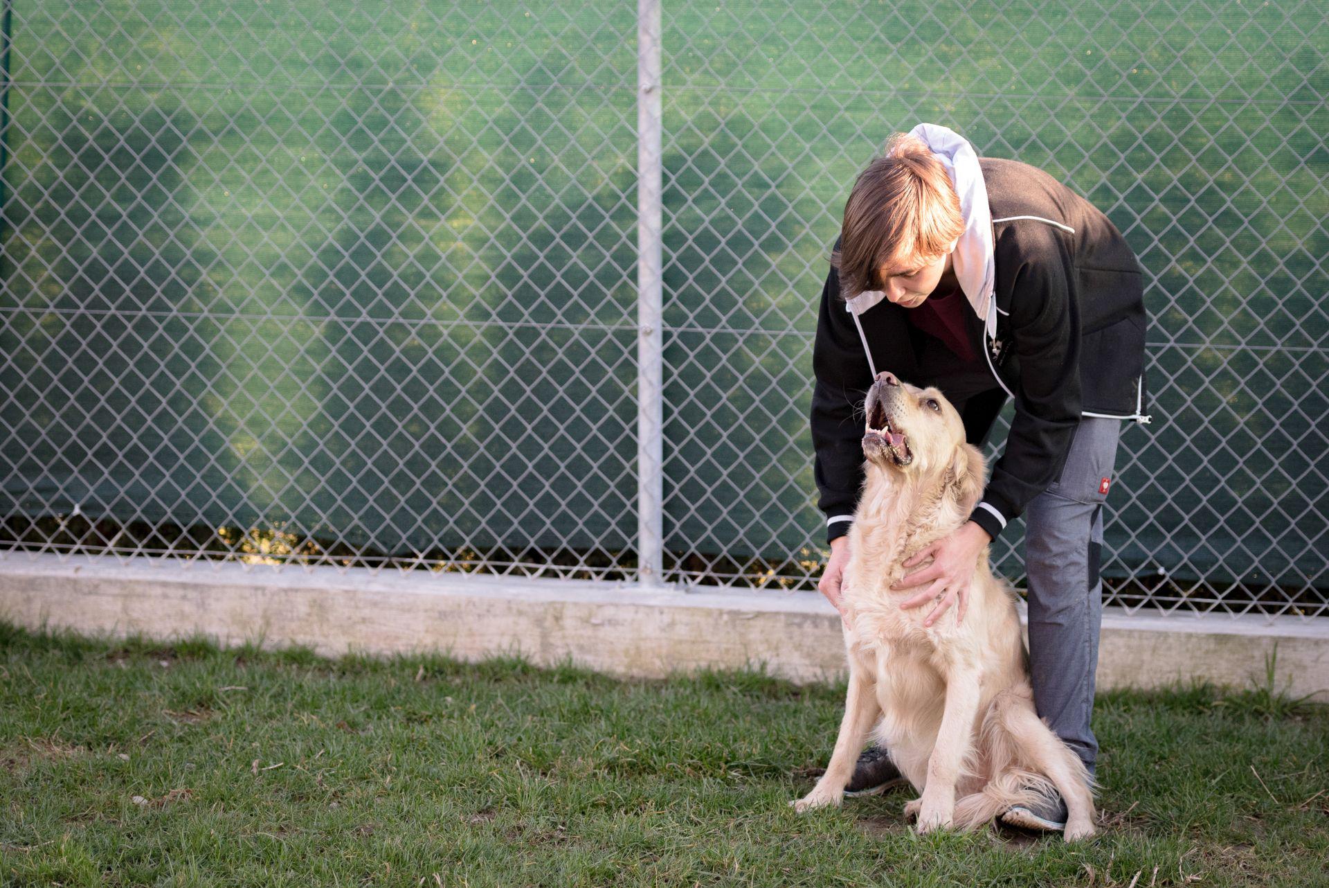 Tierhotel 5 Stern, Grienackerweg 3 in Niedergösgen