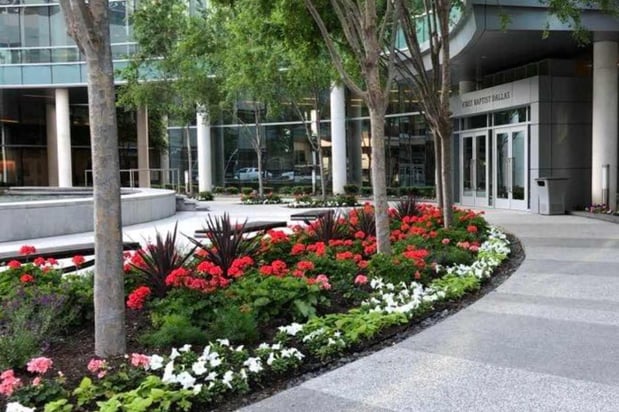 Images CGreens Landscape / Irrigation / Drainage