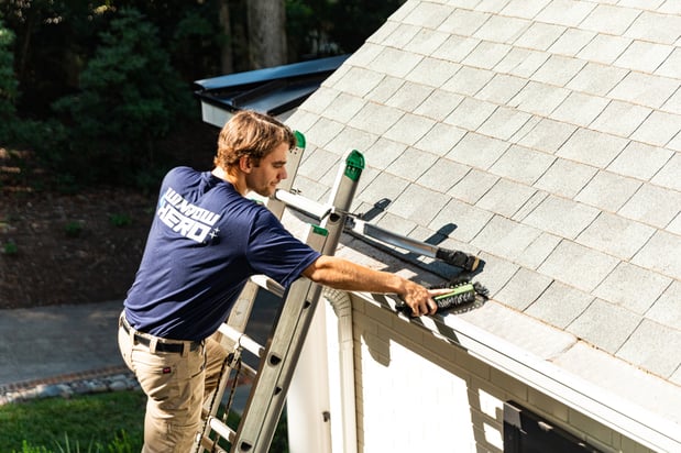 Images Window Hero Charlotte