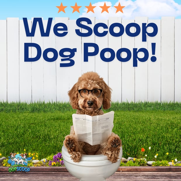 Images Oop Scoop Pet Waste Removal