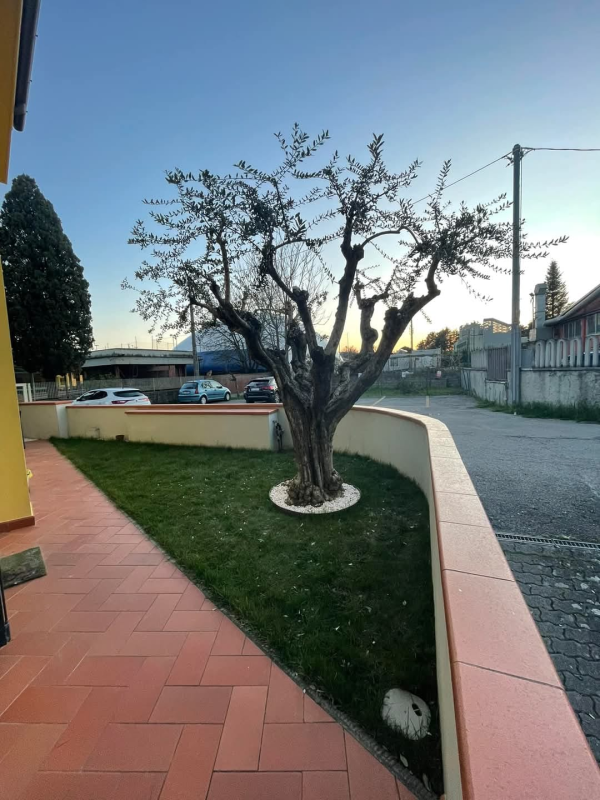 Images Cma Multiservizi