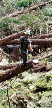 Images Mansfield Tree Services LLC