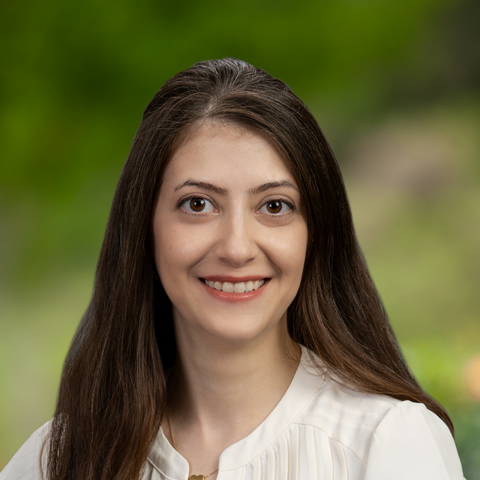 Dr Parnian Tabesh - Roseville, CA - Internal Medicine