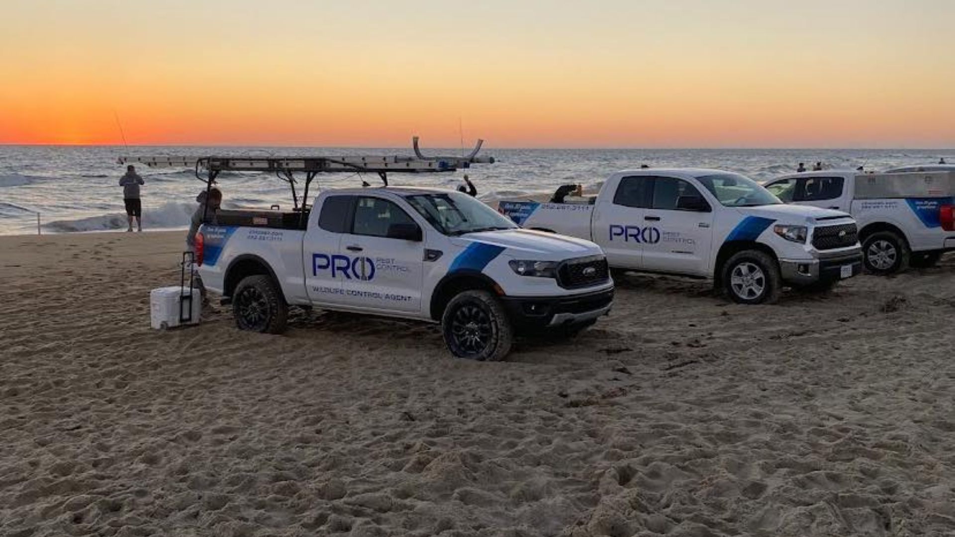 Pro 1 Pest Control's fleet of  technicians travel from the Outer Banks across Northeastern North Carolina to provide high-quality treatments to common pest problems for homes and businesses.
