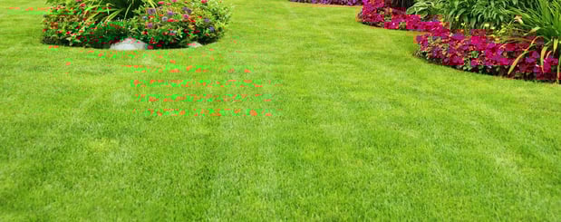 Images Linex Property Care