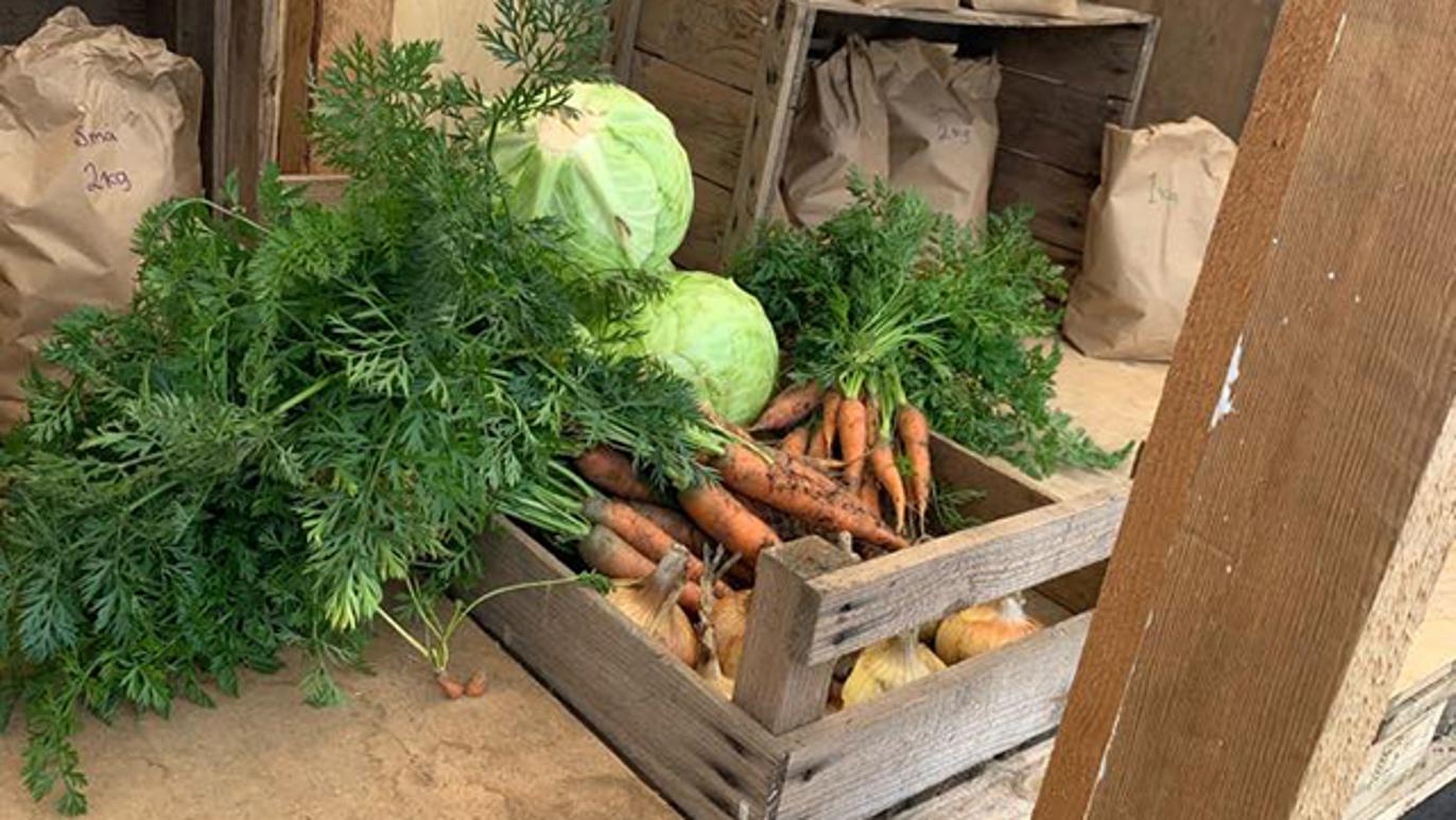 Images Gudmundssons Gård - Gårdsbutik Farhult