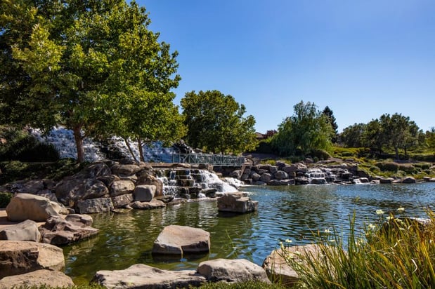 Images Twin Oaks - Arbor