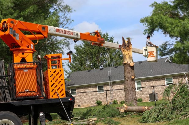 Images Brown's Tree Service LLC