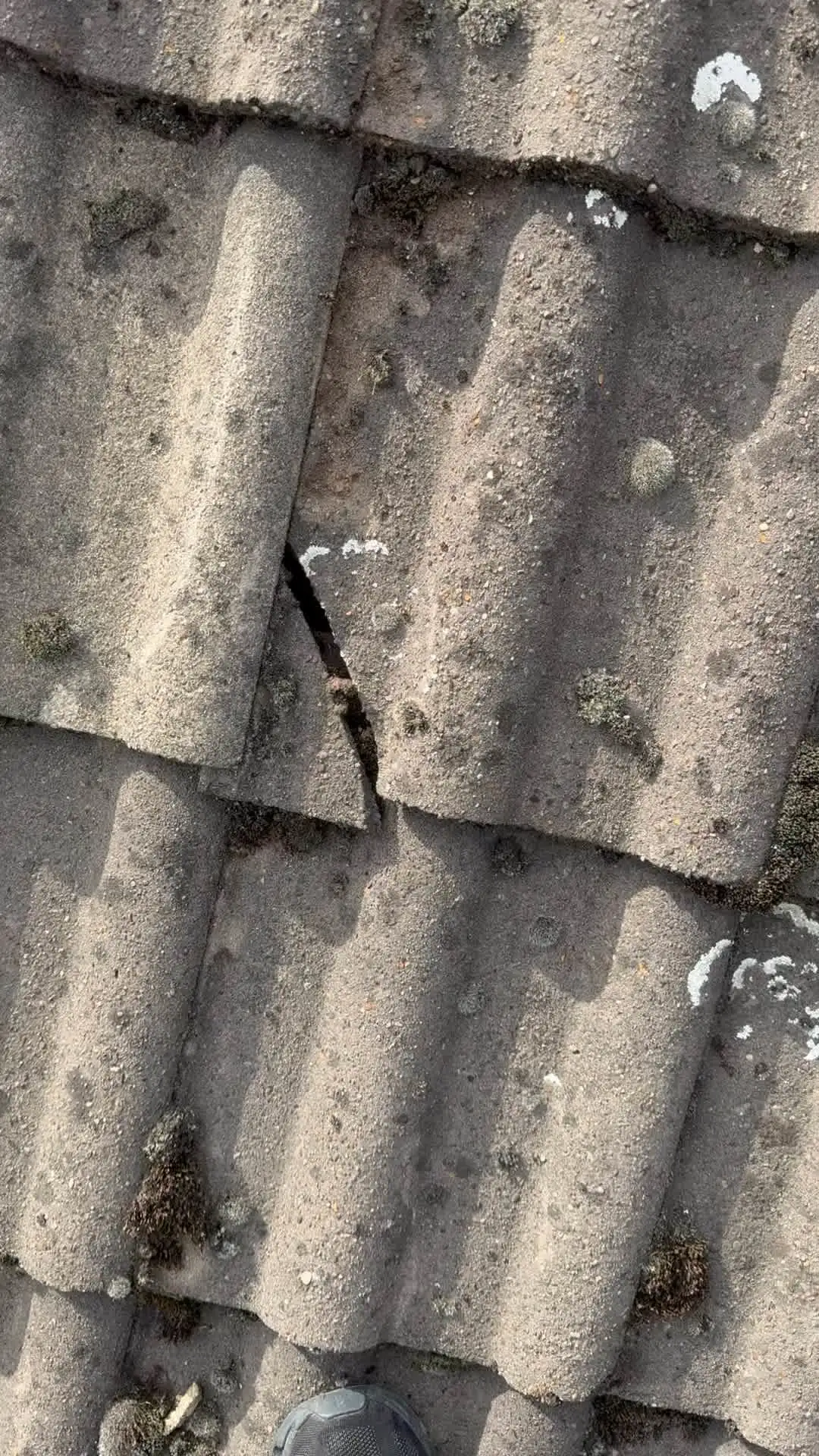 Images Starline Roofing