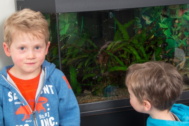 Dr. med. Stäger Erhard, Rathausstrasse 1 in Rapperswil SG