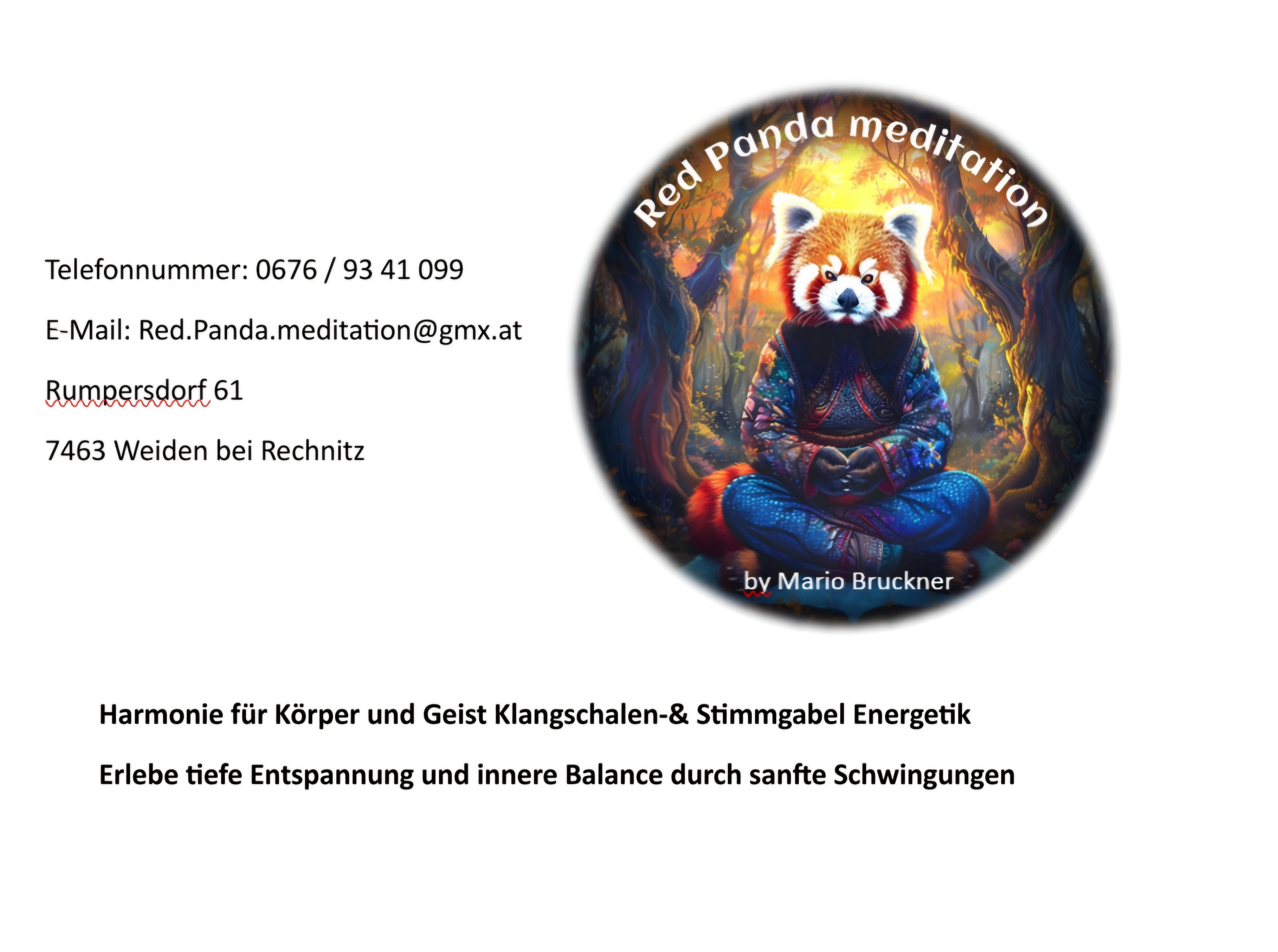 Bild 12 von Red Panda meditation