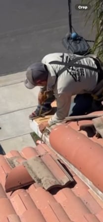 Images Alba's Roofing