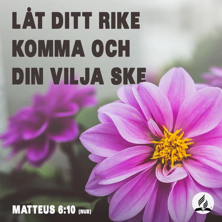 Images Sjundedags Adventistsamfundet