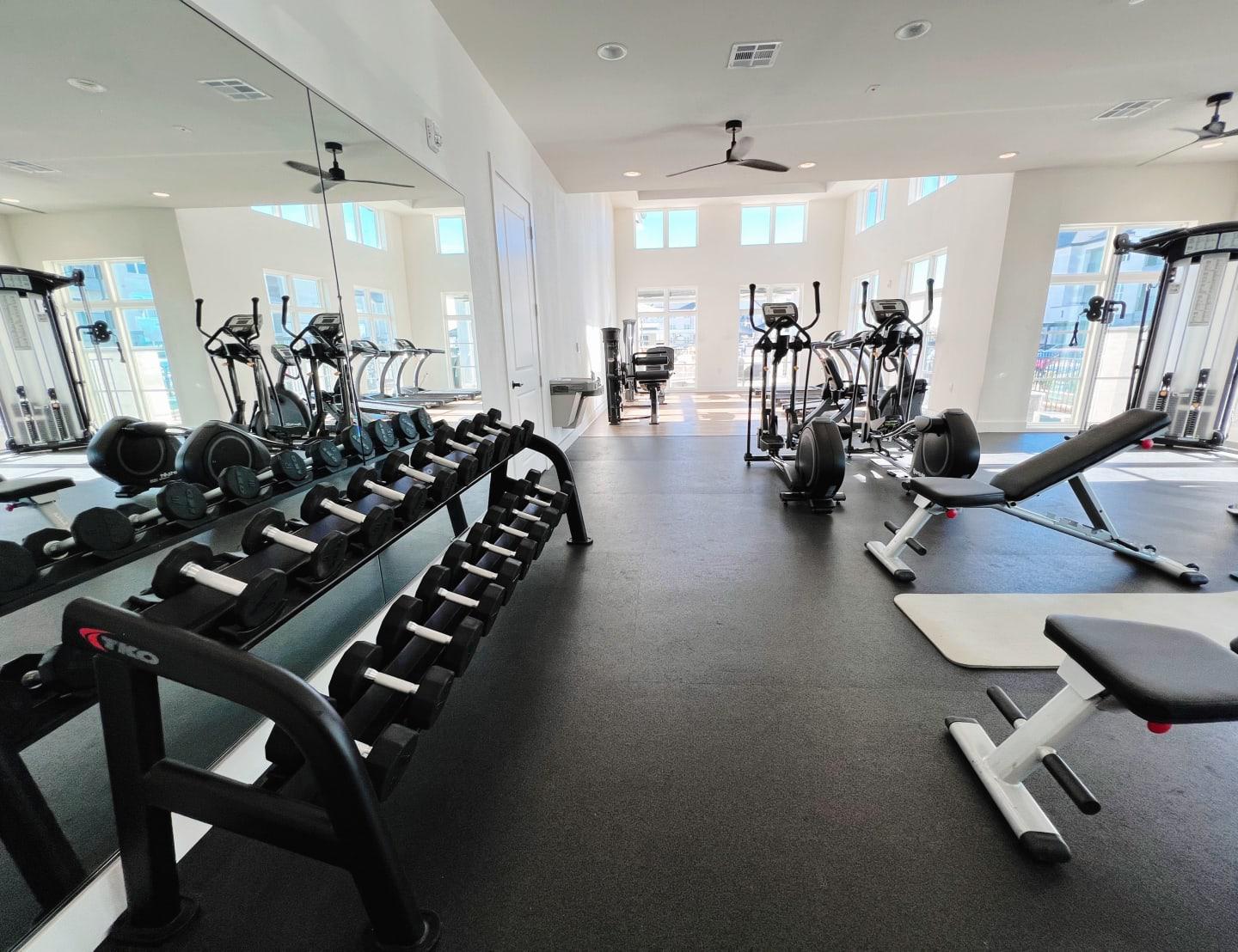 State Of The Art Fitness Center at The Fitzroy San Marcos Apartments, Texas