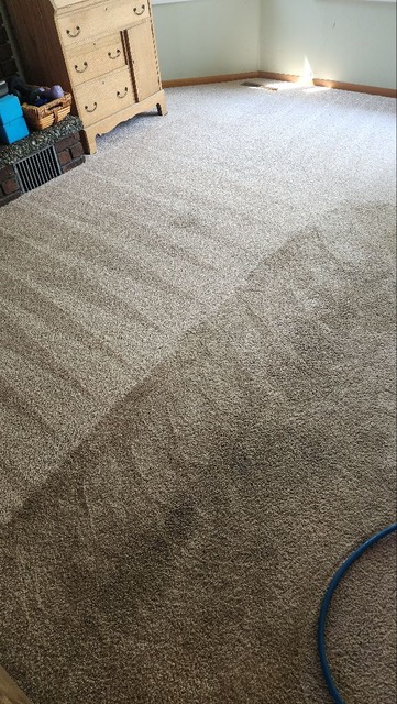 If your carpets are soaked, Castle Carpet Cleaning offers wet carpet services to remove moisture and restore your carpets to their original condition.