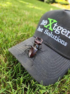 Images Nextgen Pest Solutions