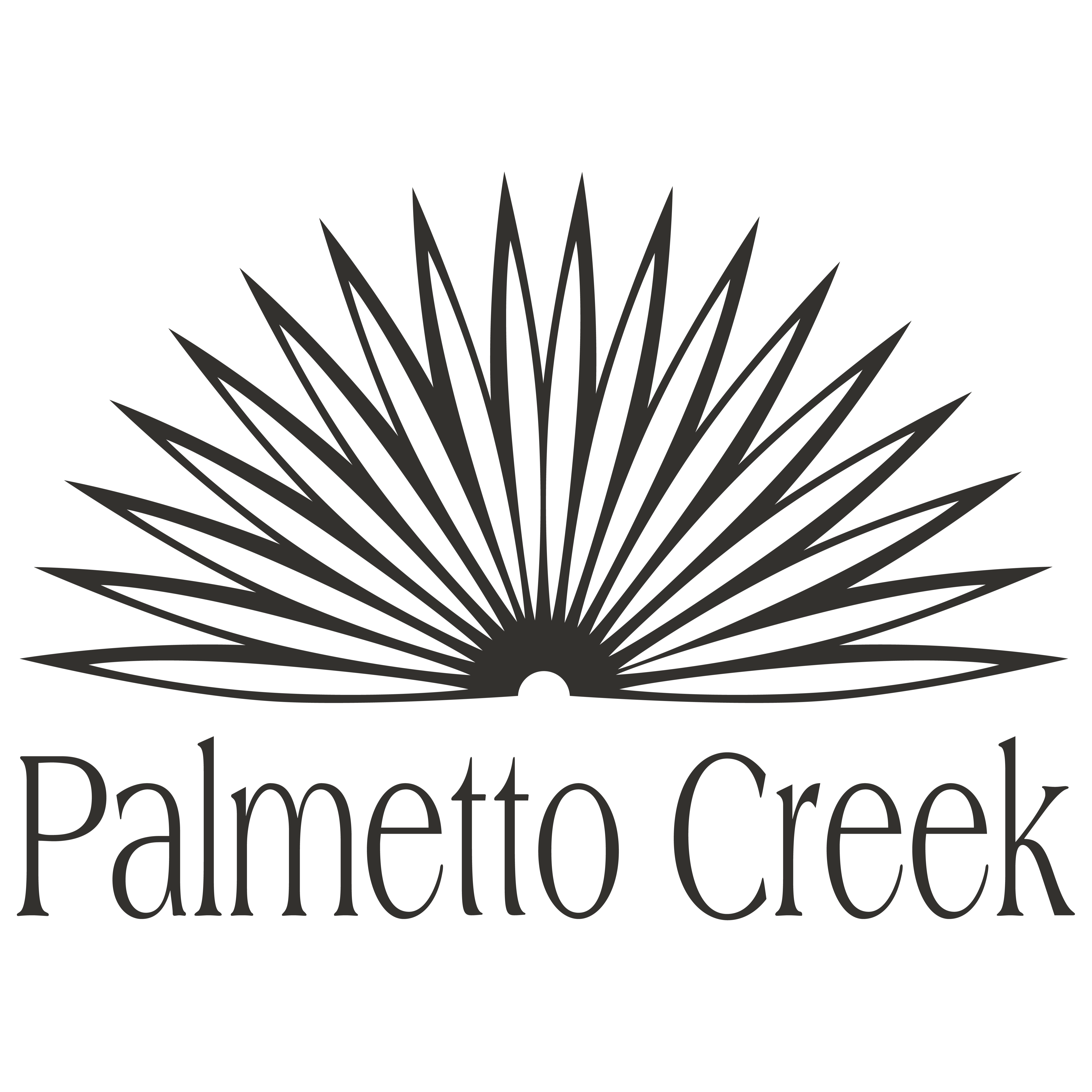Palmetto Creek