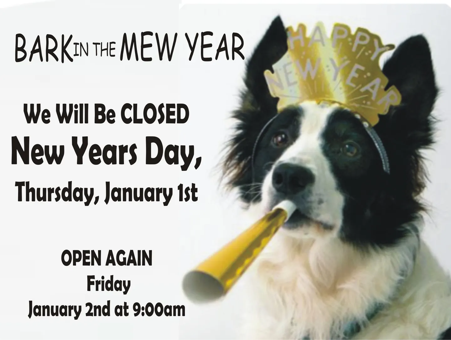 Image of Local Pet Event New Years 2026 Nearby