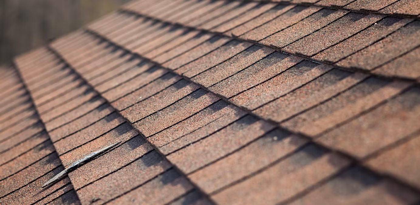 The team acts as an advocate for homeowners when dealing with insurance companies to ensure storm damage is properly covered and repaired.
