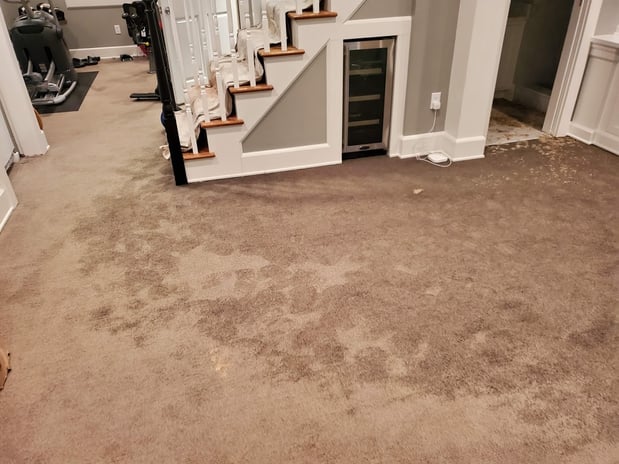 Images EZ Mitigation