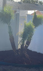 Images Central Florida Exterior Solutions LLC