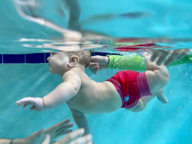 Images Watermelon Swim - Wesley Chapel