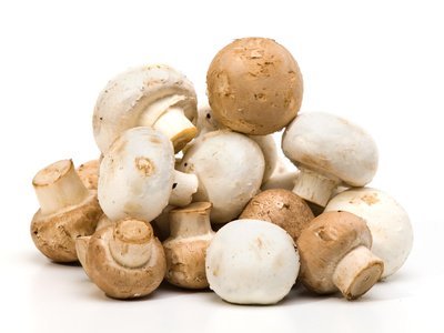 Images Societa' Agricola Porretta - Le Ghiottone