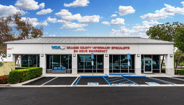 Images VCA Orange County Veterinary Specialists