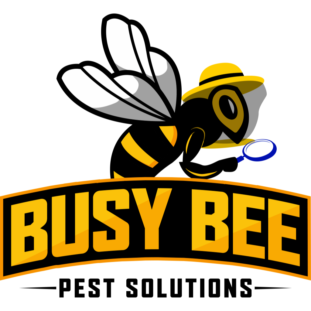 Busy Bee Pest Solutions - Peoria, AZ - (623)289-3375 | ShowMeLocal.com