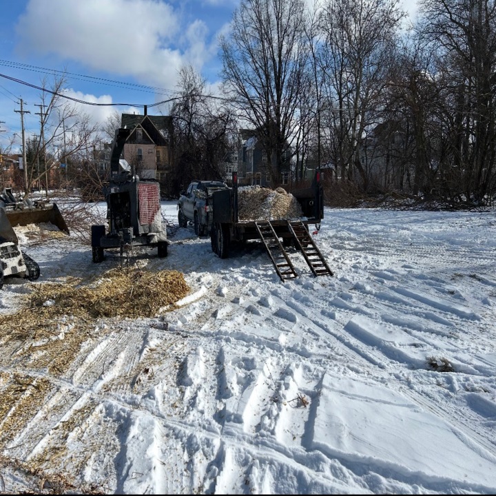 Images Against The Grain Tree Service