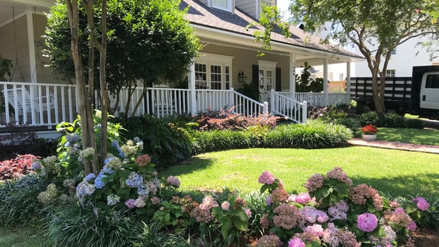 Images Philip Moser Associates