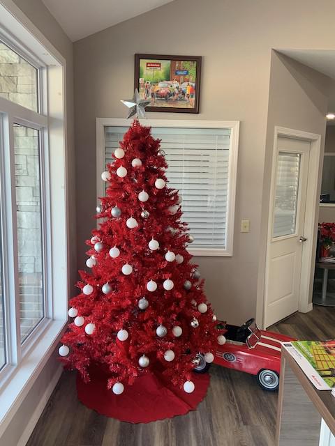 Office Christmas Tree
Mike Watson - State Farm Insurance Agent