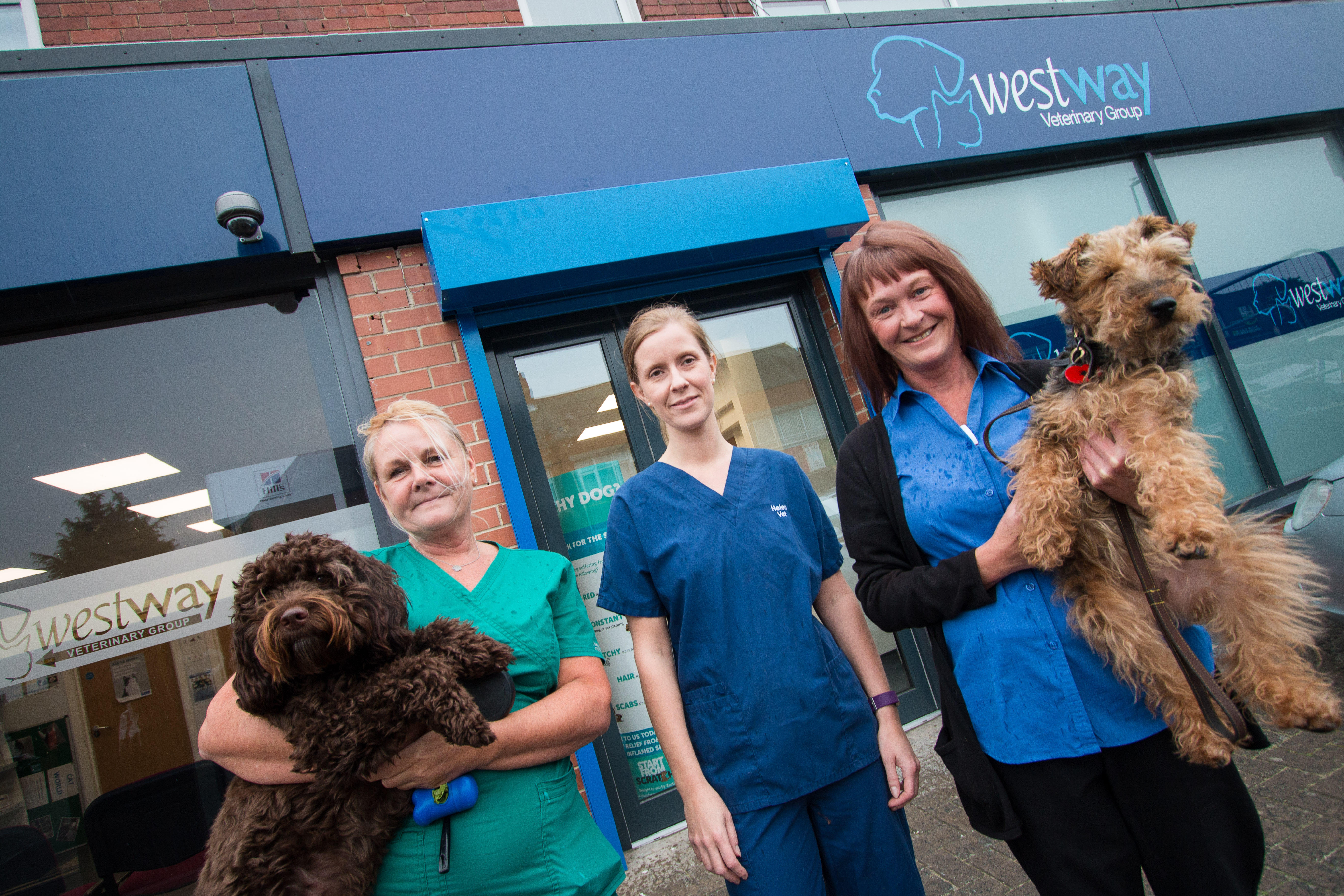 Westway Veterinary Group, Howdon Wallsend 01912 628432