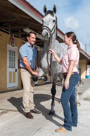Images Palm Beach Equine Clinic