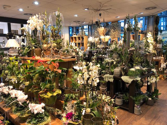Kundenbild groß 14 Blumen Interfleur Floristik & Wohnaccessoires