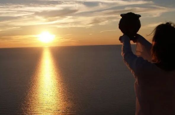 Images D'Argenzio Onoranze e Trasporti Funebri