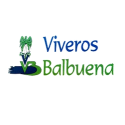 BALBUENA Logo