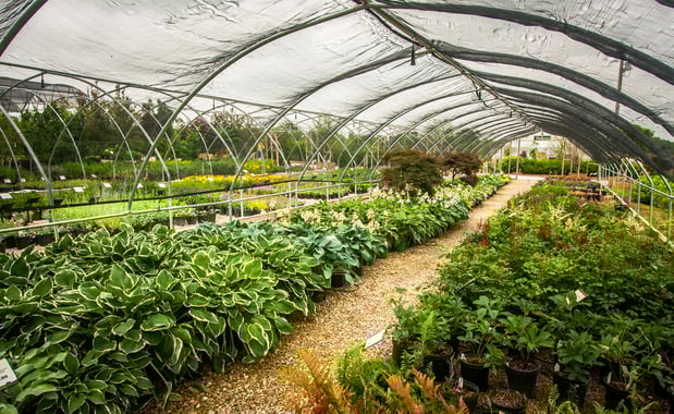 Images Superior Garden Center