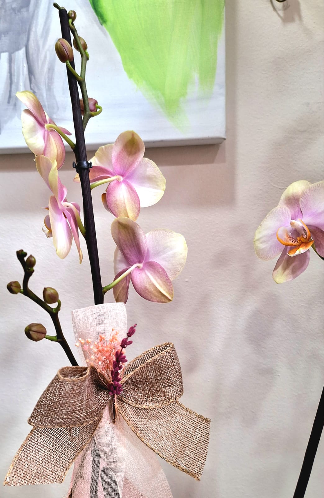 Images Floristería La Maceta de Frida