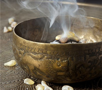 take roots, Obersteeg 28 in Engelskirchen