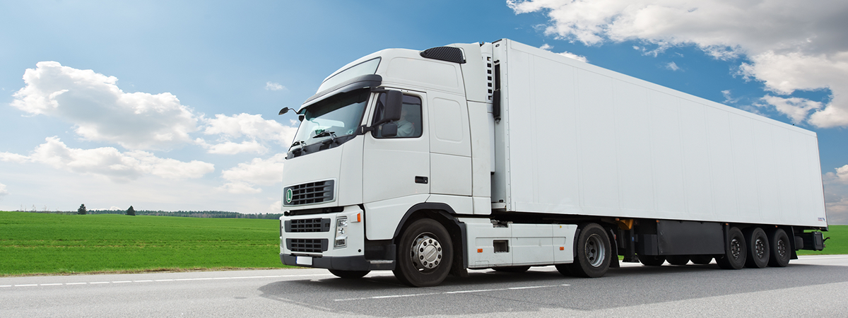 Golomb Transport GmbH, Schillerstraße 24 in Reinbek