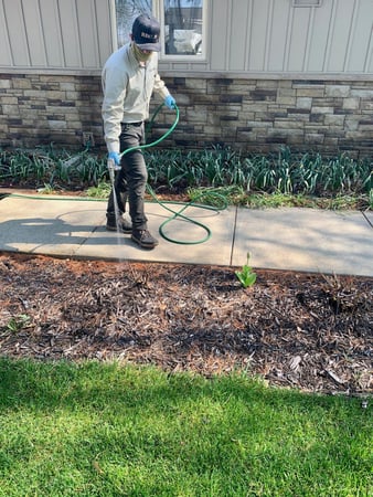 Images Recon Pest Services