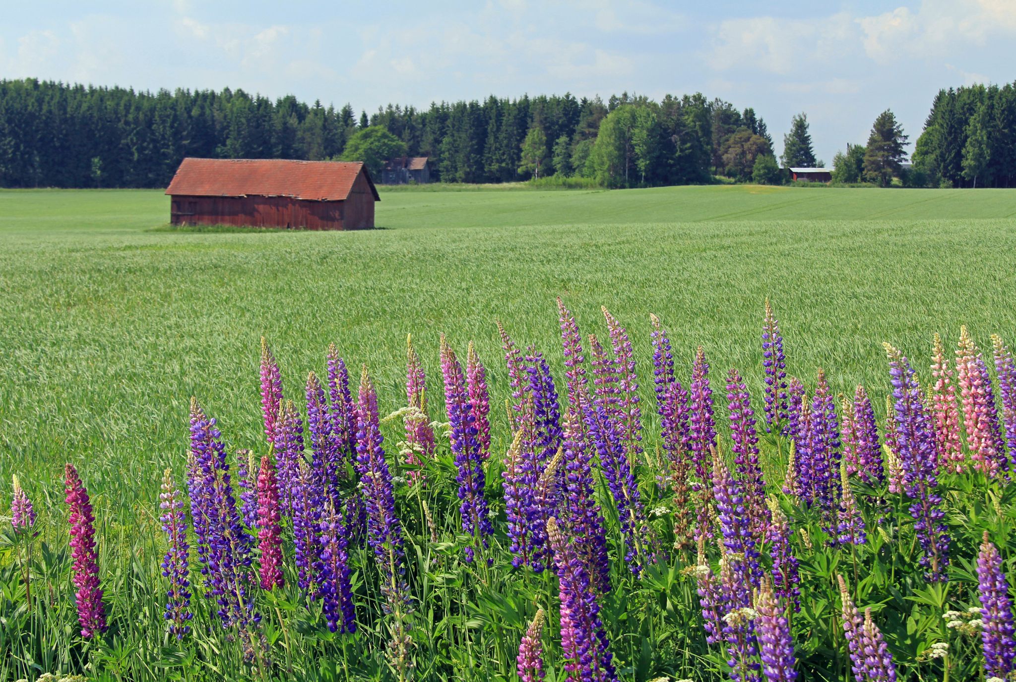 Images Psykoterapiapalvelu Kai Räisänen