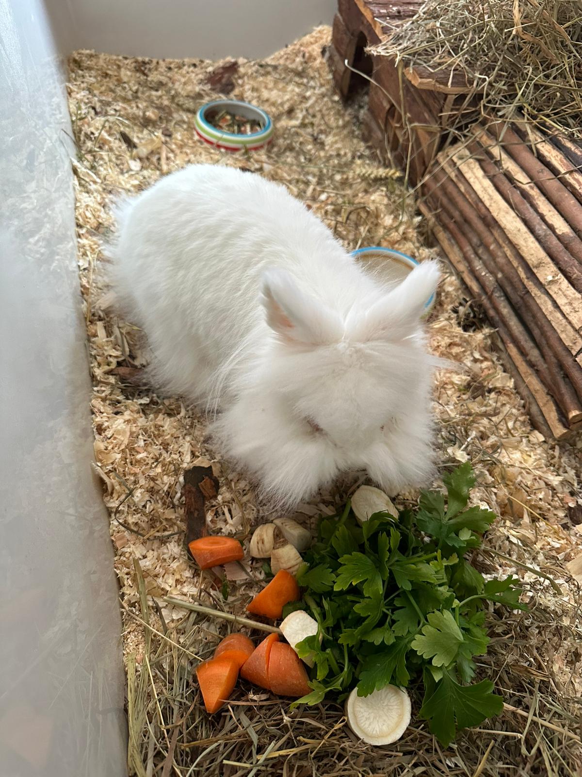 Pet-Relax, Unter Den Hollen 3 in Duggingen